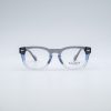 Alex-gris-bleu-sansclip-1